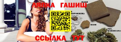 МДПВ Будённовск